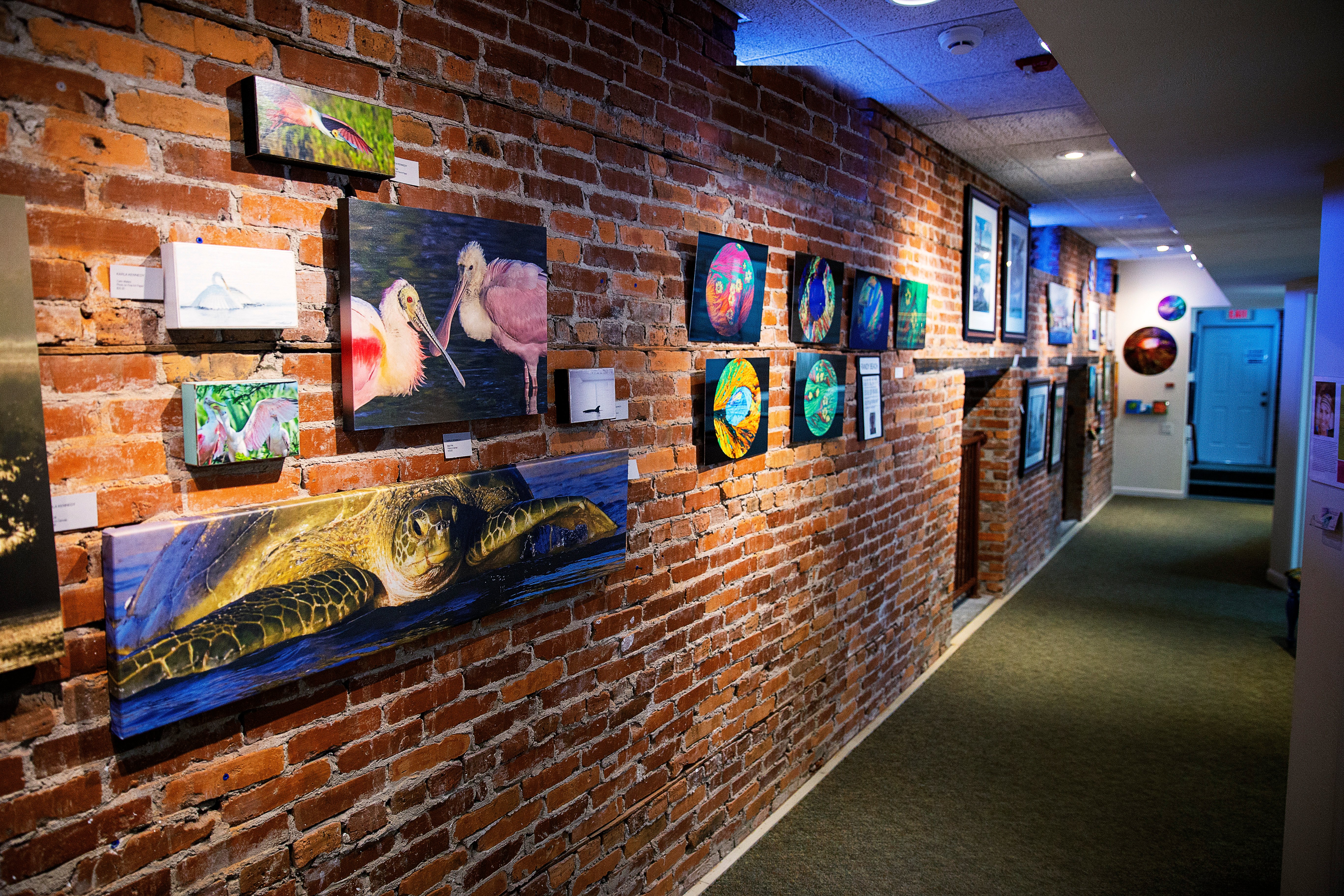 A Walk Through the Downtown Arts District